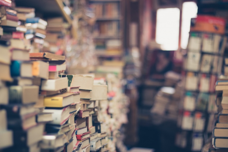 vitrine-TOUET SUR VAR-min_books_stack_book_store_stack_of_books_2nd_hand_retro_hipster_shop-829090
